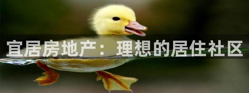 万向娱乐老板